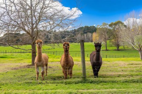 Photo of property in 47 Wilson Road, Wellsford, 0972