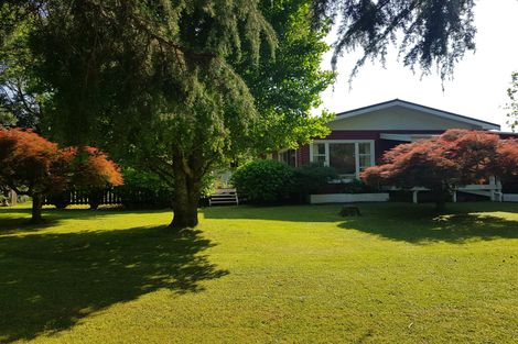 Photo of property in 2b Wellington Street, Waihi, 3610