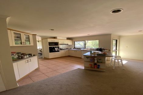 Photo of property in 24 Jubaea Place, Henderson, Auckland, 0610