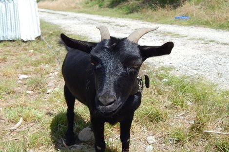 Photo of property in 2326 State Highway 69, Inangahua, Reefton, 7895