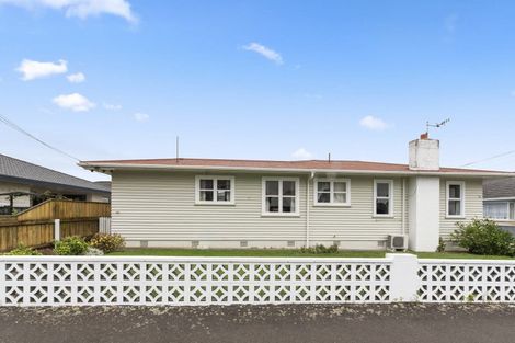 Photo of property in 47 Bath Street, Levin, 5510
