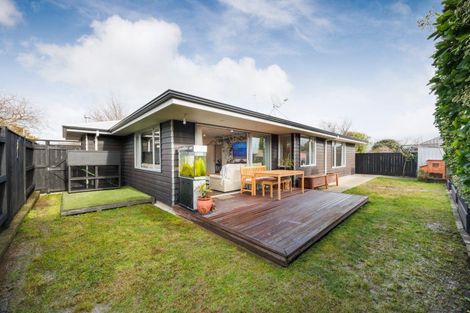 Photo of property in 651a Featherston Street, Roslyn, Palmerston North, 4414