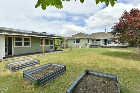 Photo of property in 45 Richards Avenue, Papanui, Christchurch, 8053