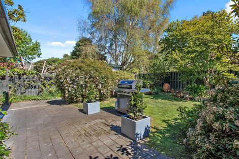 Photo of property in 10 Castle Way, Beckenham, Christchurch, 8023