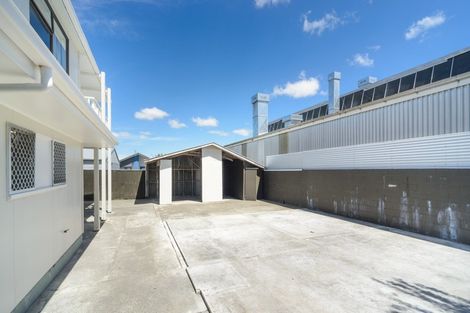 Photo of property in 8b Tyne Street, Roslyn, Palmerston North, 4414