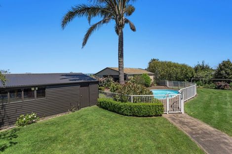 Photo of property in 641 Thornton Road, Thornton, Whakatane, 3194