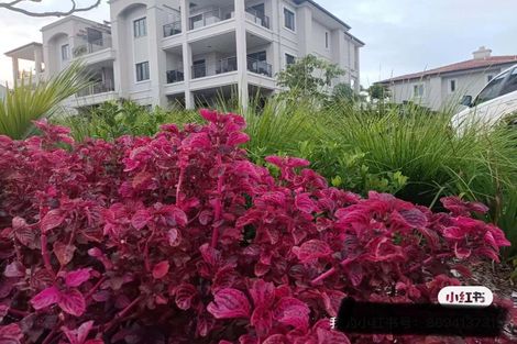 Photo of property in 101/140 Gills Road, Albany Heights, Auckland, 0632