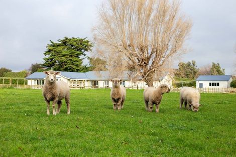 Photo of property in 230a Tayforth Road, Westmere, Whanganui, 4574