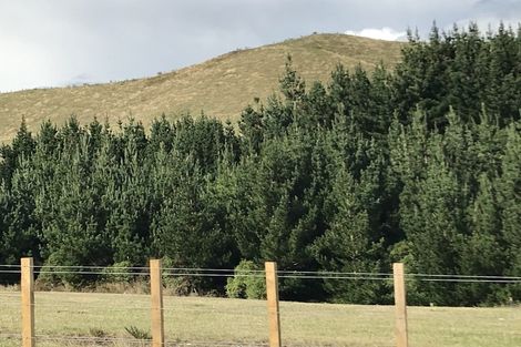 Photo of property in 487 Whangamata Road, Kinloch, Taupo, 3377