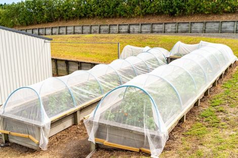 Photo of property in 70 Baylys Coast Road, Dargaville, 0377