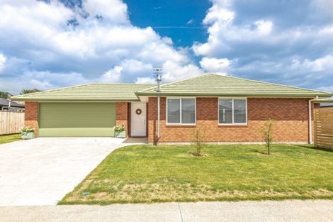 Photo of property in 20 Simon Street, Tawhero, Whanganui, 4501