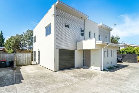 Photo of property in 1/69 Bordesley Street, Phillipstown, Christchurch, 8011