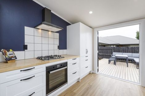 Photo of property in 19 Carlisle Street, Milson, Palmerston North, 4414