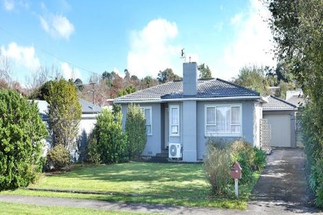 Photo of property in 20 Lethbridge Street, Feilding, 4702