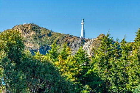 Photo of property in 50b Jetty Road, Castlepoint, Tinui, 5889