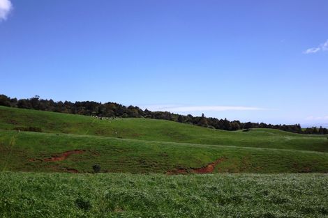 Photo of property in 712a Te Hutewai Road, Raglan, 3296