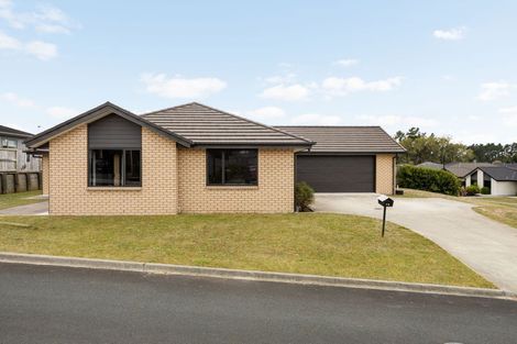 Photo of property in 256 Dixon Road, Fitzroy, Hamilton, 3206