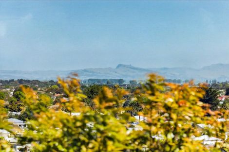 Photo of property in 12 Guys Hill Road, Hospital Hill, Napier, 4110