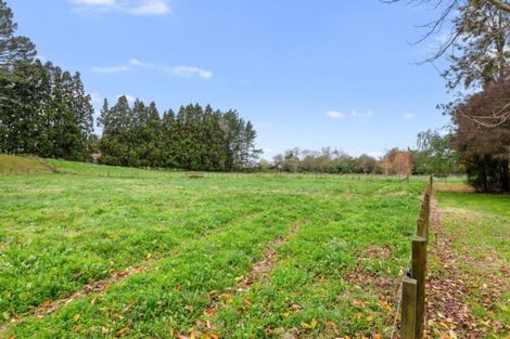 Photo of property in 131e Hogg Road, Rotoma, Whakatane, 3192