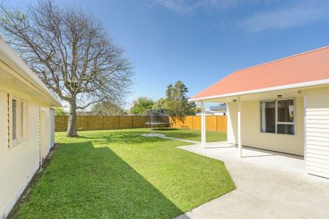 Photo of property in 22 Churcher Street, Feilding, 4702
