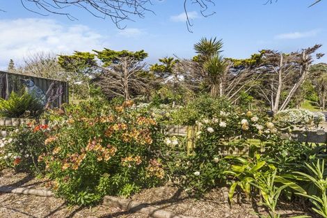 Photo of property in 140 Paetawa Road, Peka Peka, Waikanae, 5391