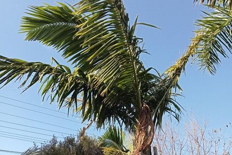 Photo of property in 40 Judea Road, Judea, Tauranga, 3110