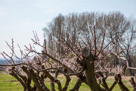 Photo of property in 58 Hawley Road, Blackmans, Alexandra, 9391