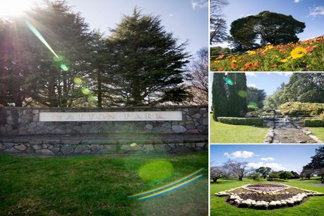 Photo of property in 453 Fraser Street, Parkvale, Tauranga, 3112