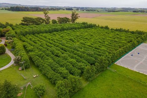 Photo of property in 120 Summerleaze Road, Pareora West, Timaru, 7971