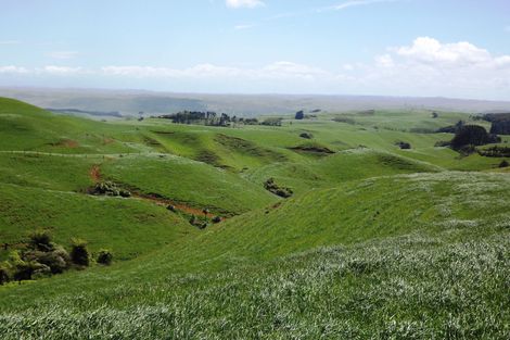 Photo of property in 712a Te Hutewai Road, Raglan, 3296