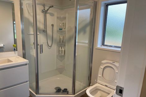 Photo of property in 275 Tararua Road, Levin, 5571