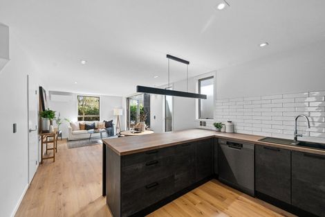 Photo of property in 231a Salisbury Street, Christchurch Central, Christchurch, 8013