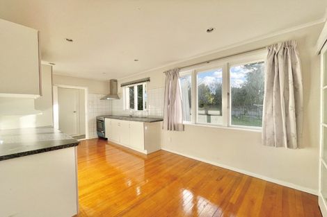 Photo of property in 24 Trojan Crescent, New Lynn, Auckland, 0600