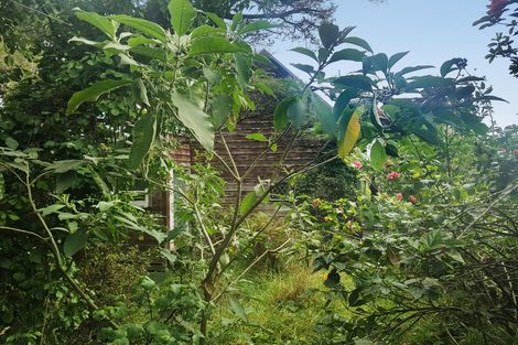 Photo of property in 914 Whakapirau Road, Whakapirau, Maungaturoto, 0583