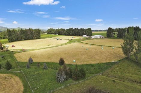 Photo of property in 329 Raetihi Ohakune Road, Raetihi, 4691