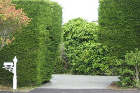 Photo of property in 19a Taylors Mistake Road, Scarborough, Christchurch, 8081