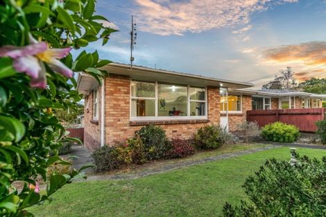 Photo of property in 45 Eastdale Road, Avondale, Auckland, 1026