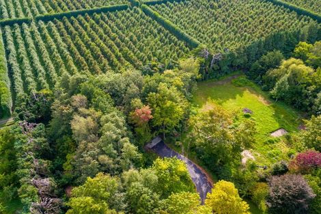 Photo of property in 16 Woodlands Way, Greytown, 5712