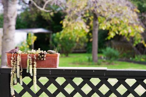 Photo of property in 29 Cranbrook Grove, Waikanae, 5036