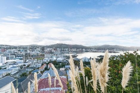 Photo of property in 11 Mcintyre Avenue, Mount Victoria, Wellington, 6011