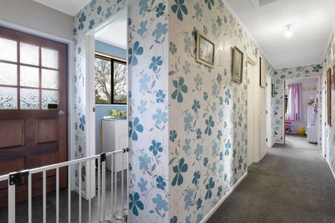 Photo of property in 43 Skerries Street, Outram, 9019