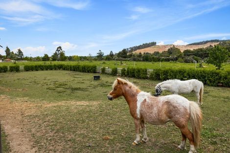 Photo of property in 116 Sunnyside Road, Coatesville, Albany, 0793