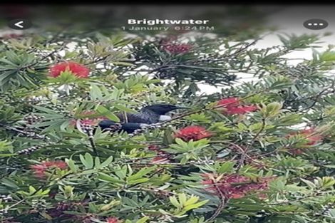 Photo of property in 18 Ernest Place, Brightwater, 7022