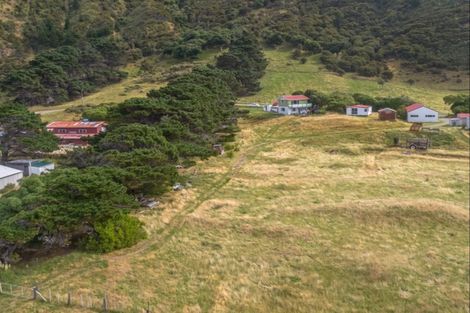 Photo of property in 451 Tora Farm Settlement Road, Tora, Martinborough, 5782