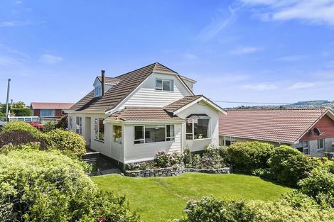 Photo of property in 49 Elliot Street, Andersons Bay, Dunedin, 9013