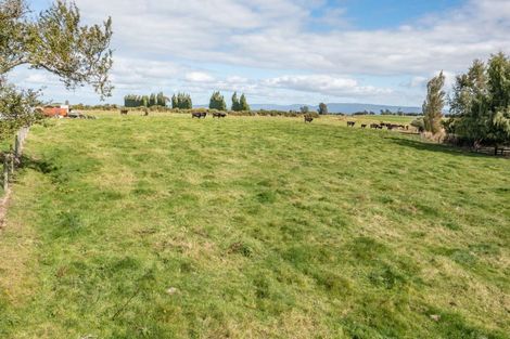 Photo of property in 46 Stanley Street, Wairio, Otautau, 9689