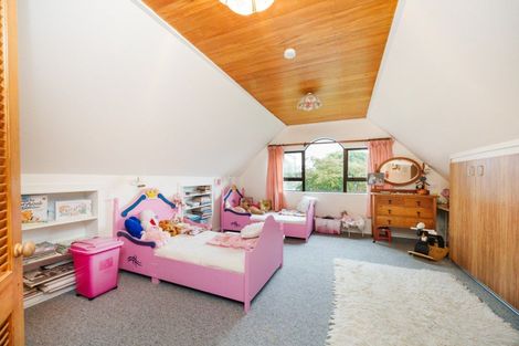 Photo of property in 67 Winchester Street, Ashhurst, 4810