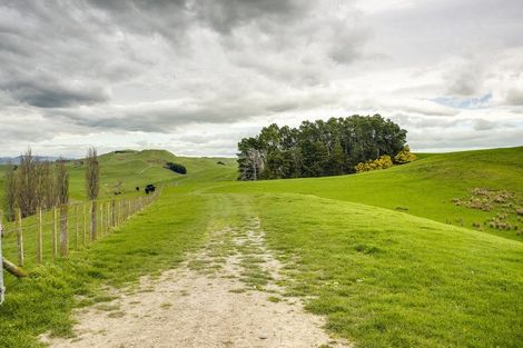 Photo of property in 210 Ongaonga Road, Waipawa, 4272