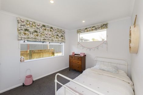 Photo of property in 39a Sheffield Street, Awapuni, Palmerston North, 4412
