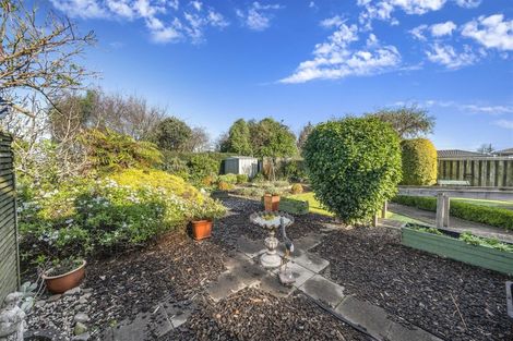 Photo of property in 47 Graham Street, Levin, 5510